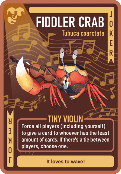fiddler_crab