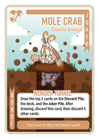 Mole Crab