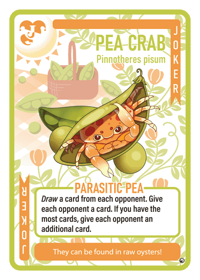 Pea Crab