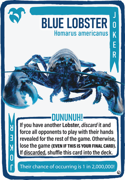 Blue Lobster